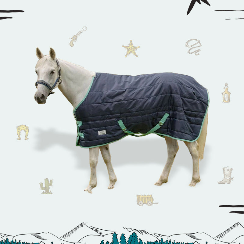 Horse Clothing
