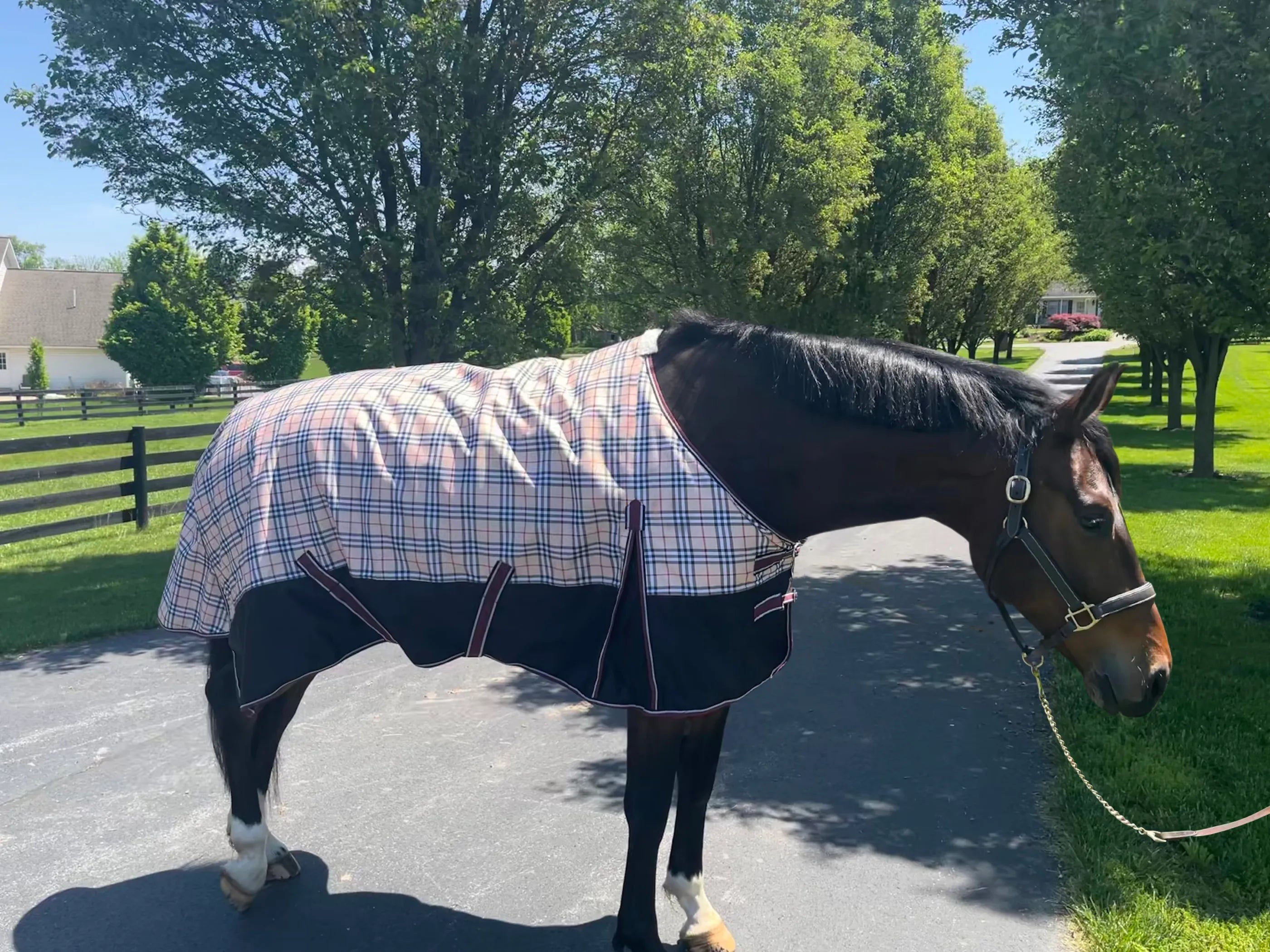 TuffRider Turnout Comfy 1200 D Medium Weight 200 GSM Standard Neck Blanket- Beige and Black Plaid- 69