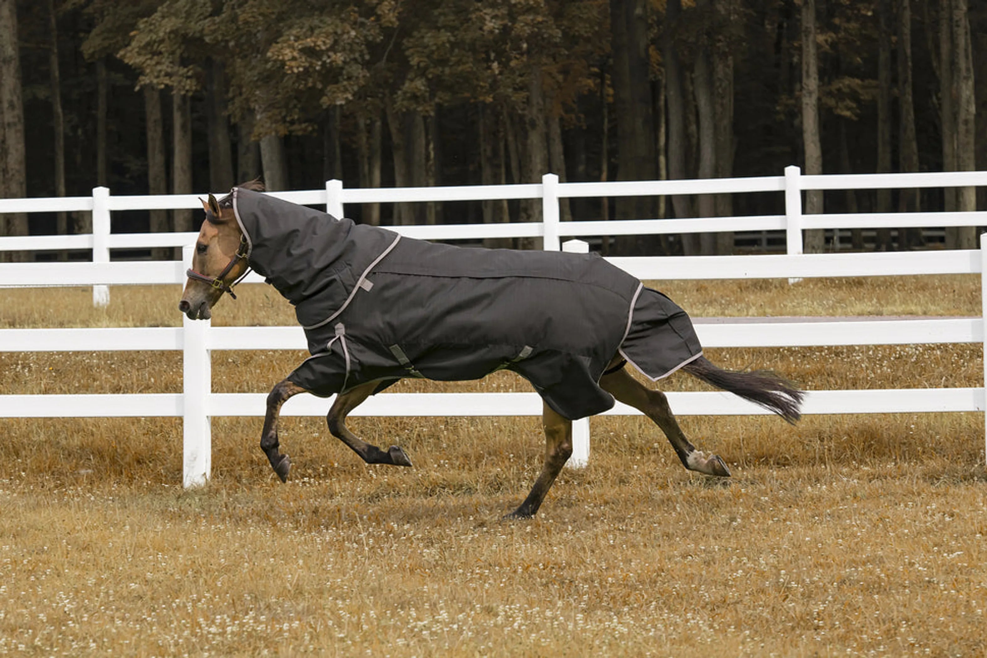 TuffRider 4-in-1 Waterproof All Season Blanket