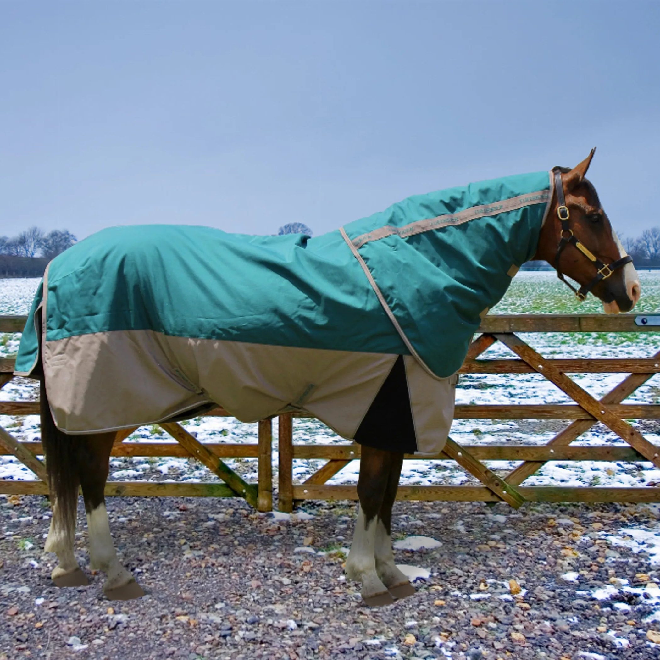 TuffRider Major 1200D Ballistic 220 GMS Detachable Neck Two Tone Turnout Blanket