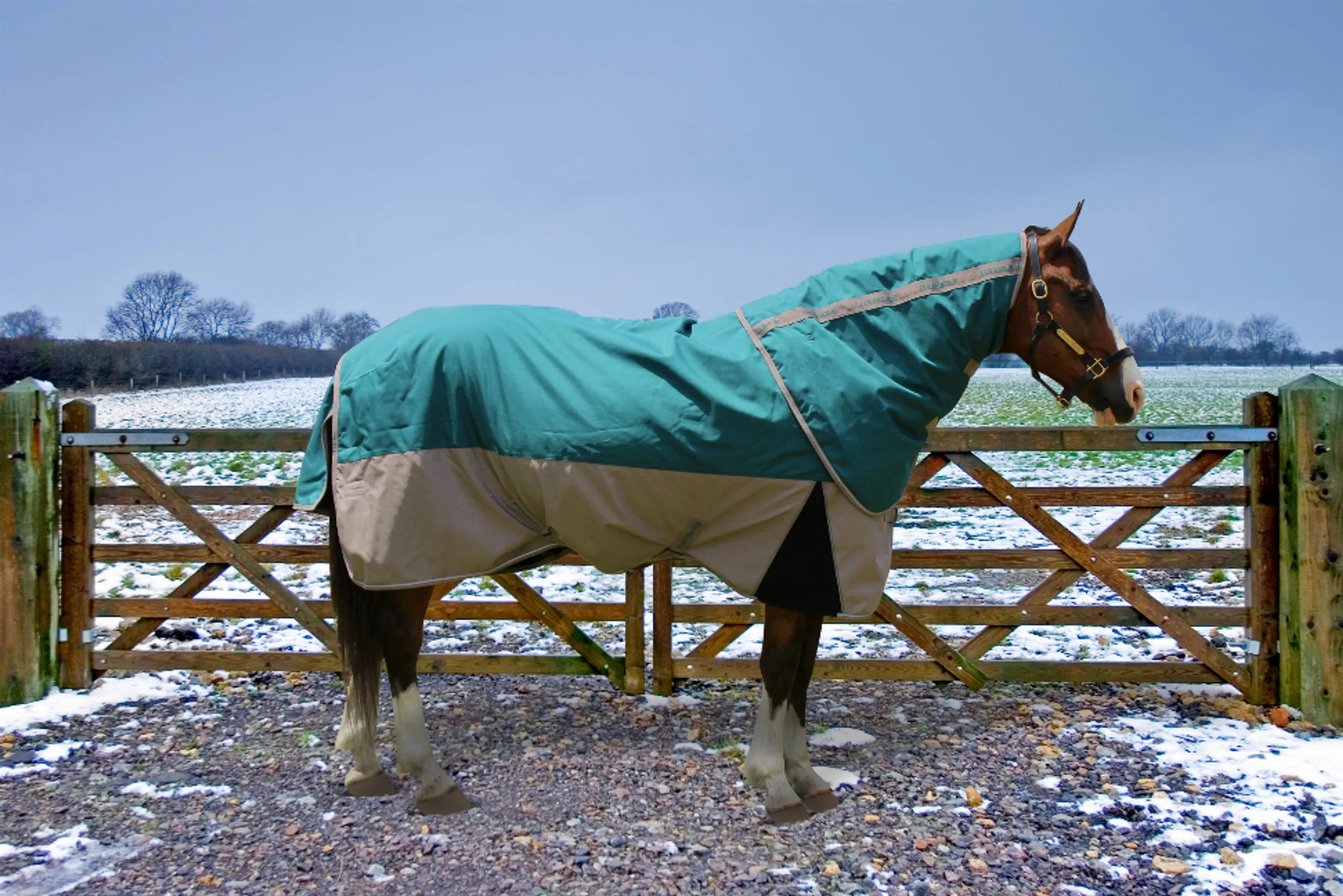 TuffRider Major 1200D Ballistic 220 GMS Detachable Neck Two Tone Turnout Blanket