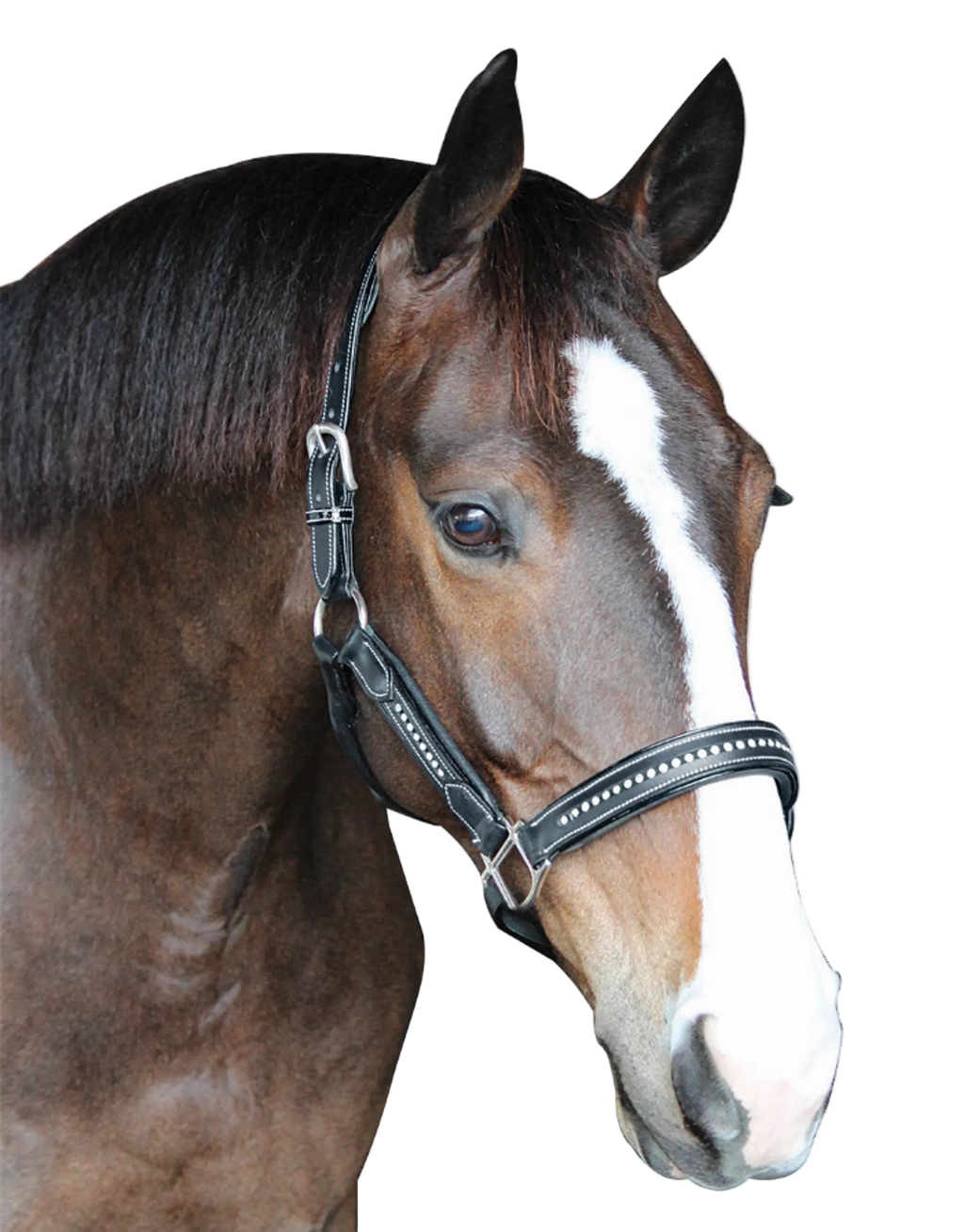 Henri de Rivel Padded Crystal Halter