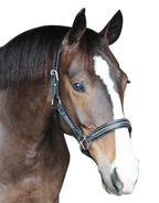 Henri de Rivel Padded Crystal Halter