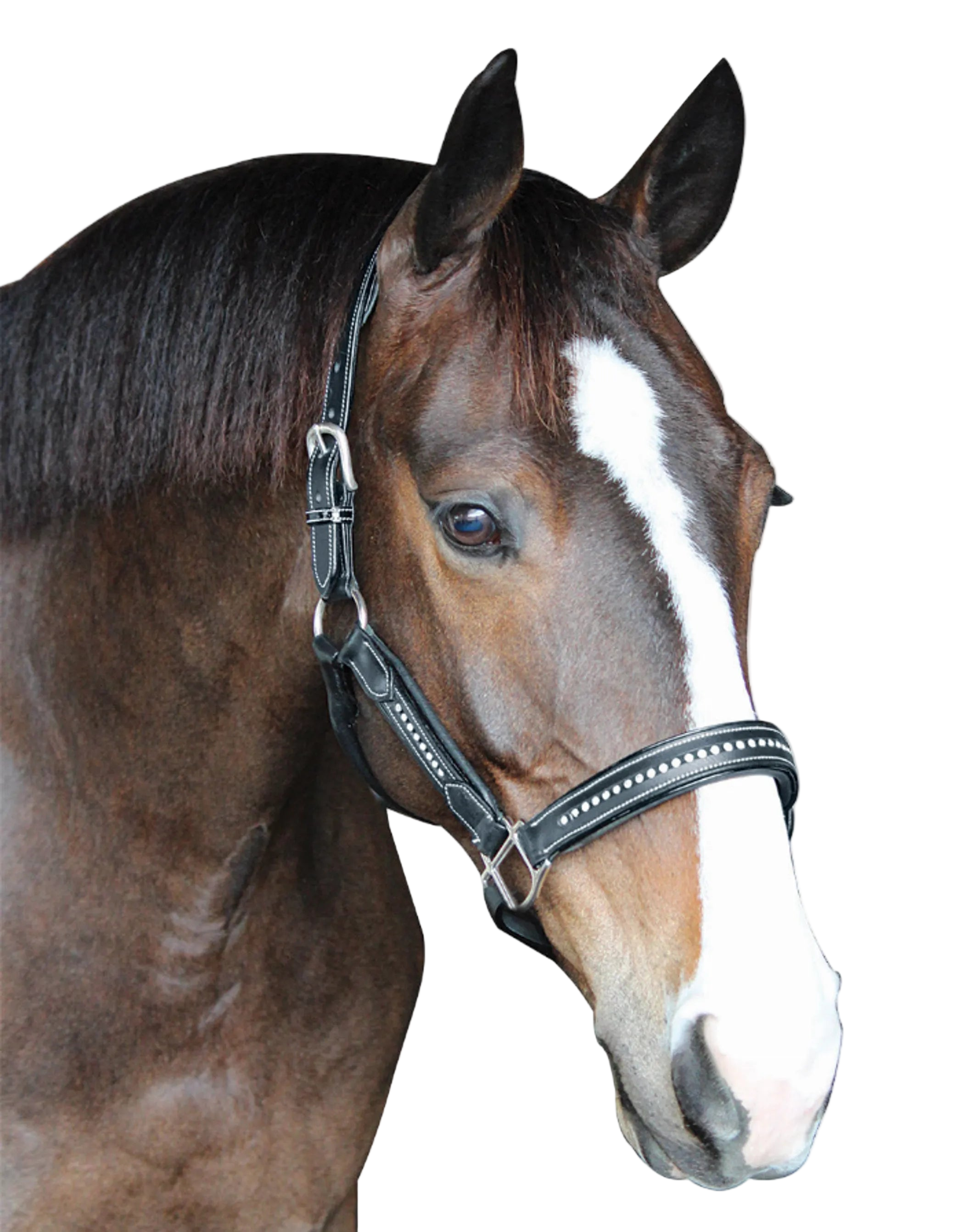 Henri de Rivel Padded Crystal Halter