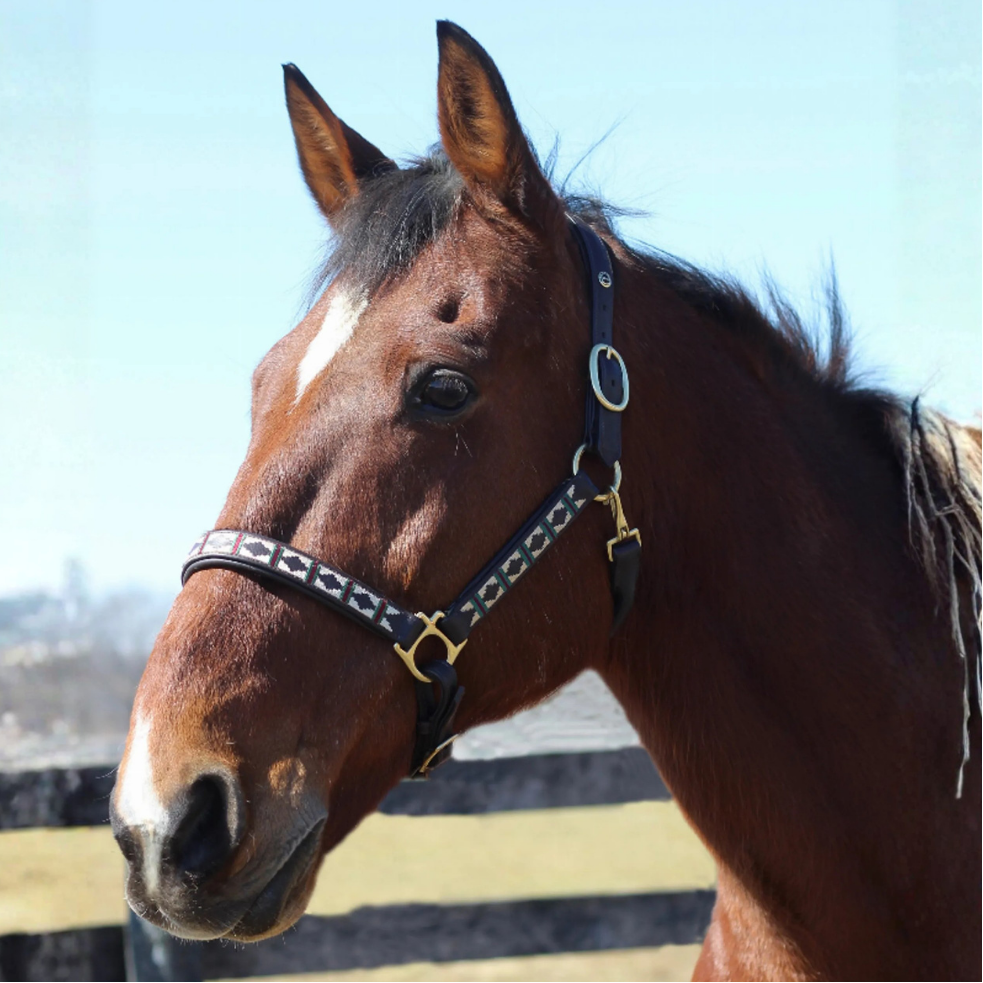 Henri de Rivel Classic Embroidered Leather Halter